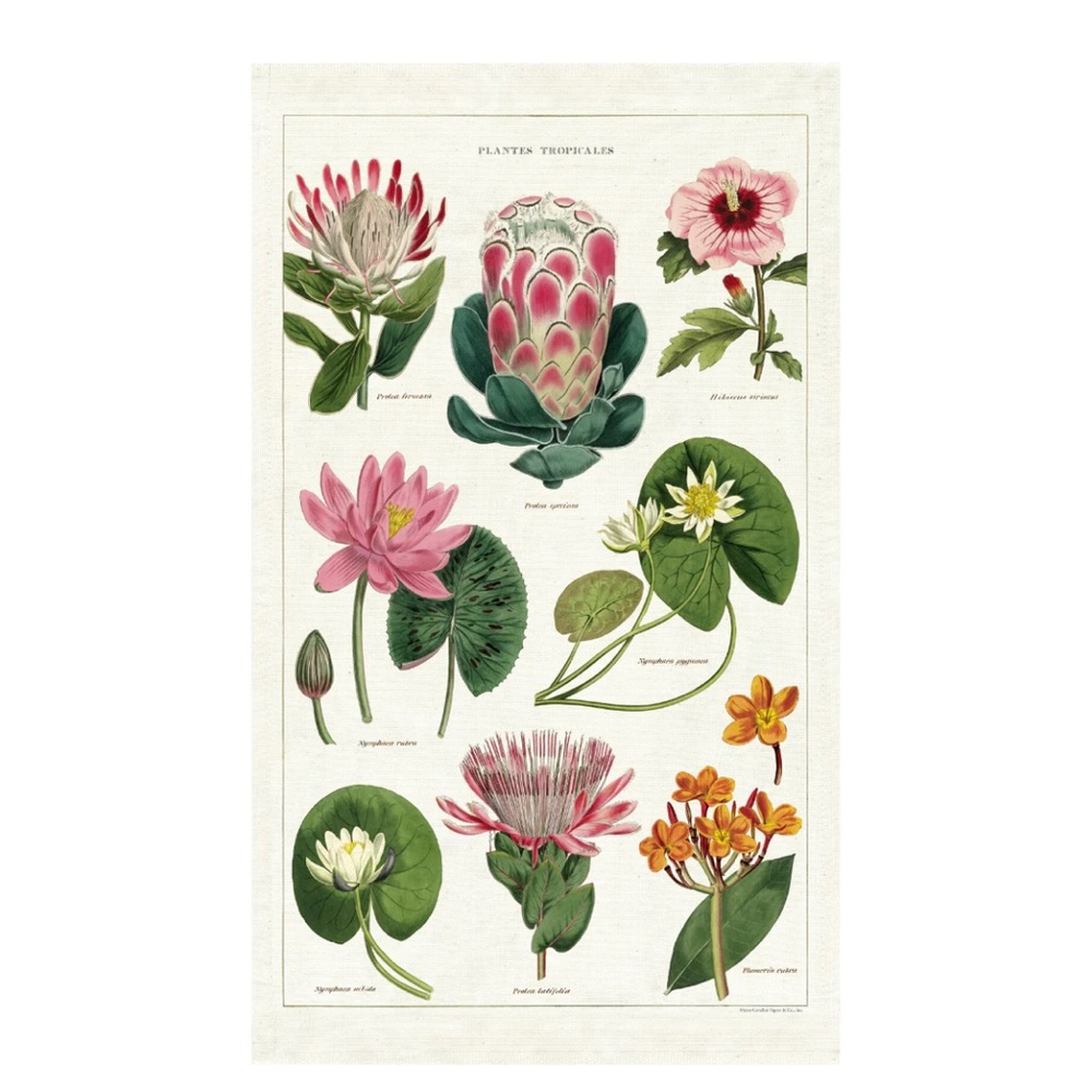 Cavallini & Co. Vintage Tea Towel - Tropical Plants Pattern BRAND NEW NWT - Picture 11 of 11